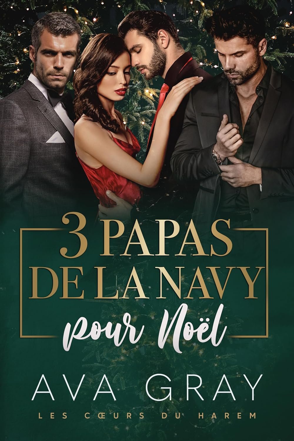 Ava Gray - 3 papas de la Navy pour Noël