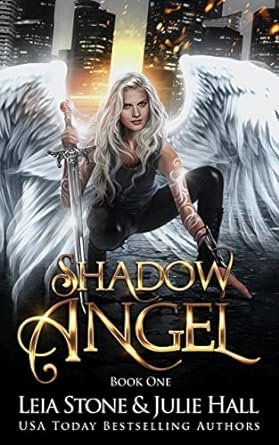 Leia Stone ,HALL Julie - Shadow Angel, Tome 1 : Plume noire