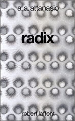 A.A. Attanasio – Radix