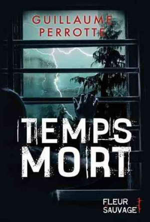 Guillaume Perrotte – Temps Mort