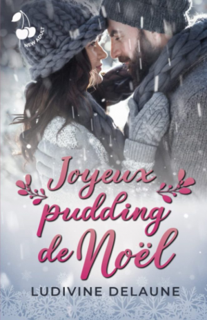 Ludivine Delaune – Joyeux pudding de Noël